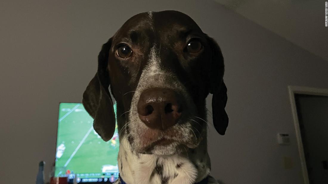 &quot;Come on, Dad, that&#39;s enough sports for tonight. It&#39;s time for bed.&quot; -- Ellie, a 6-year-old German shorthaired pointer, who likes to sleep under the covers next to her humans.