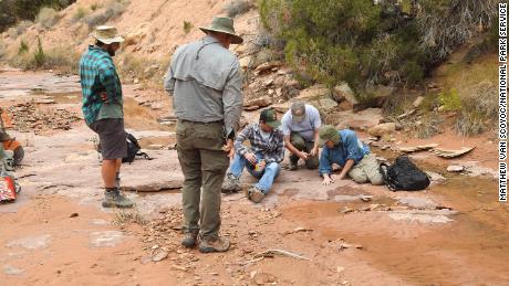 Scientists collect a 300 million-year-old fossil skeleton at Canyonlands National Park in Utah.