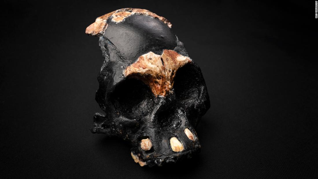 First ancient fossil of Homo naledi child found in the Cradle of Humankind – CNN