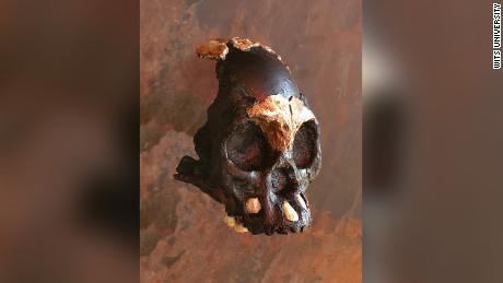 Leti&#39;s skull fragments were found in a narrow passage of the cave.