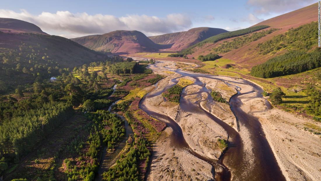 Efforts to restore ancient ecosystems are underway, for instance Cairngorms Connect. This land restoration project covers 64,000 hectares within the Cairngorms National Park.
