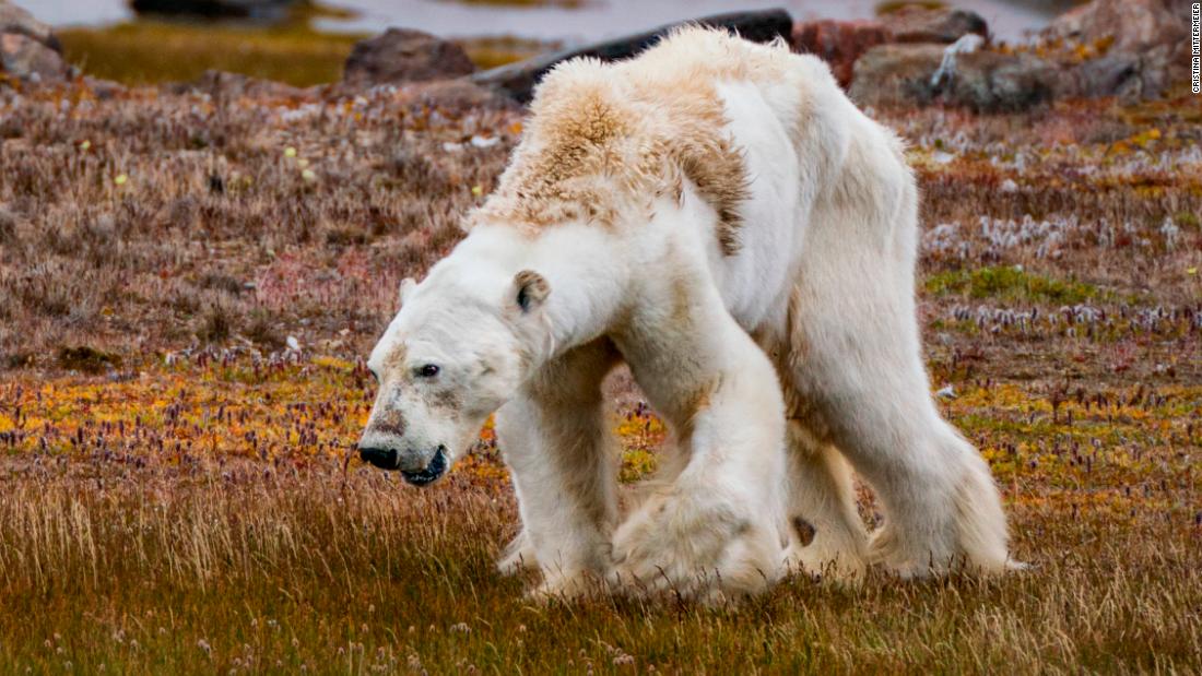 How photography and storytelling can turn apathy into climate action