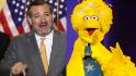 Ted Cruz accuses Big Bird of spreading government propaganda