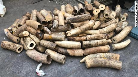 A task force in the Democratic Republic of Congo seized about $3.5 million in illegal ivory, rhino horn and pangolin scales following the arrest of two suspects in the United States, authorities say.
