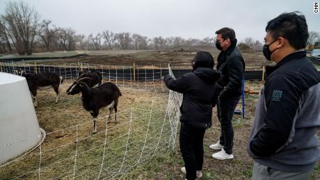 Dar-Lon Chang and his daughter with CNN&#39;s Bill Weir next to the herd of goats in Geos.