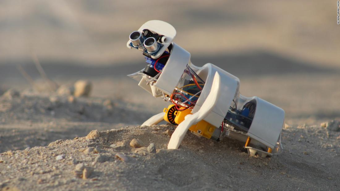 A tiny robot to plant seeds in the desert and a simple way to keep plastic out of the ocean: Global Grad Show looks to a greener future