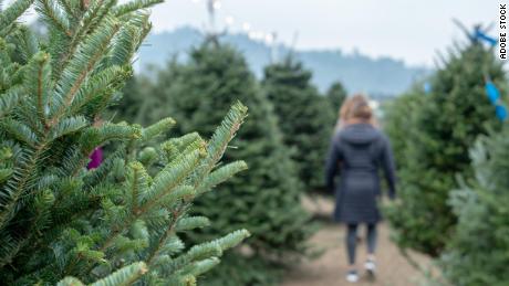 Christmas tree farms and markets are an annual tradition for many people.