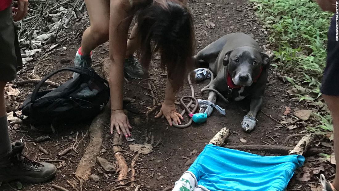 A 12-year-old Boy Scout used his skills to rescue a lost couple and their  injured dog on a trail in Hawaii - CNN
