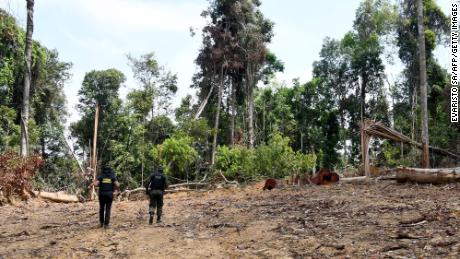 Officials from Para State in northern Brazil inspect a deforested area in the Amazon in September.