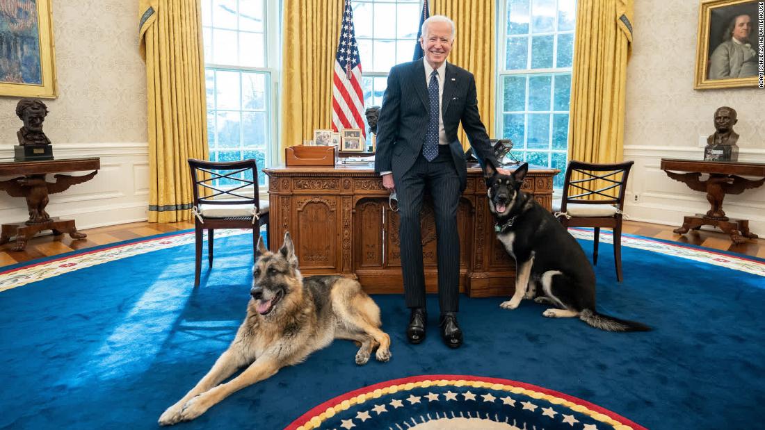 Biden poses with his dogs, Champ and Major, in the Oval Office in February 2021. The German shepherds marked a return to a &lt;a href=&quot;http://www.cnn.com/2013/08/20/politics/gallery/presidential-pets/index.html&quot; target=&quot;_blank&quot;&gt;longstanding tradition&lt;/a&gt; of Presidents and their families bringing their pets with them to the White House. &lt;a href=&quot;https://www.cnn.com/2021/06/19/politics/champ-biden-german-shepherd-dog-dies/index.html&quot; target=&quot;_blank&quot;&gt;Champ died&lt;/a&gt; in June 2021 at the age of 13.