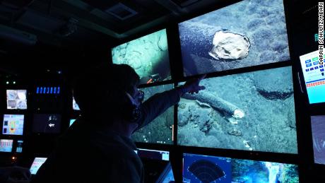 MBARI Senior Scientist Steven Haddock and the science team observe the internal structure of the tusk.