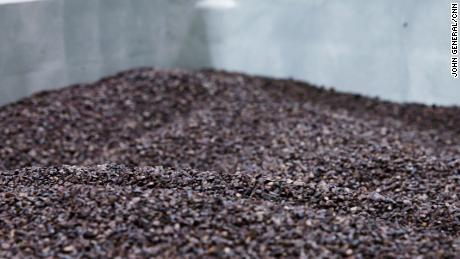 Atomo Coffee&#39;s CEO says the roasted date pits look and smell like real coffee beans.