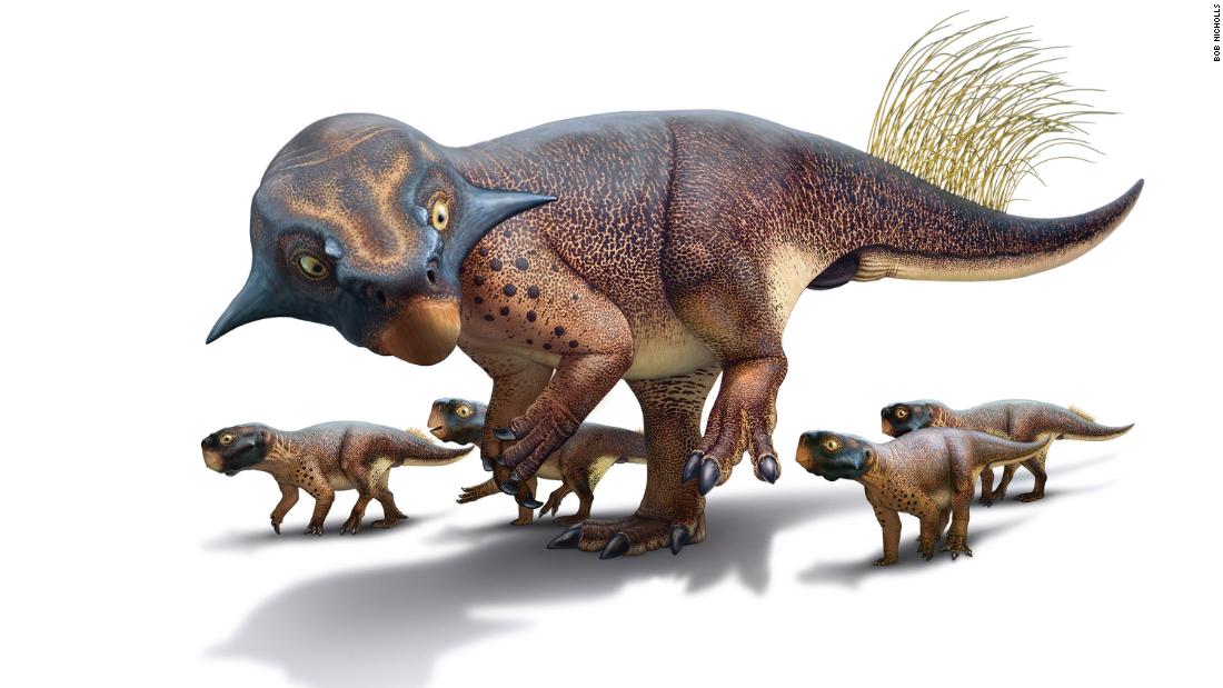 Stunning paleoart shows what dinosaurs really looked like