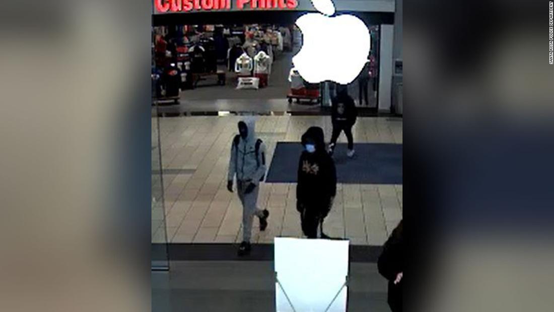 Groups of thieves target two high-end stores in California