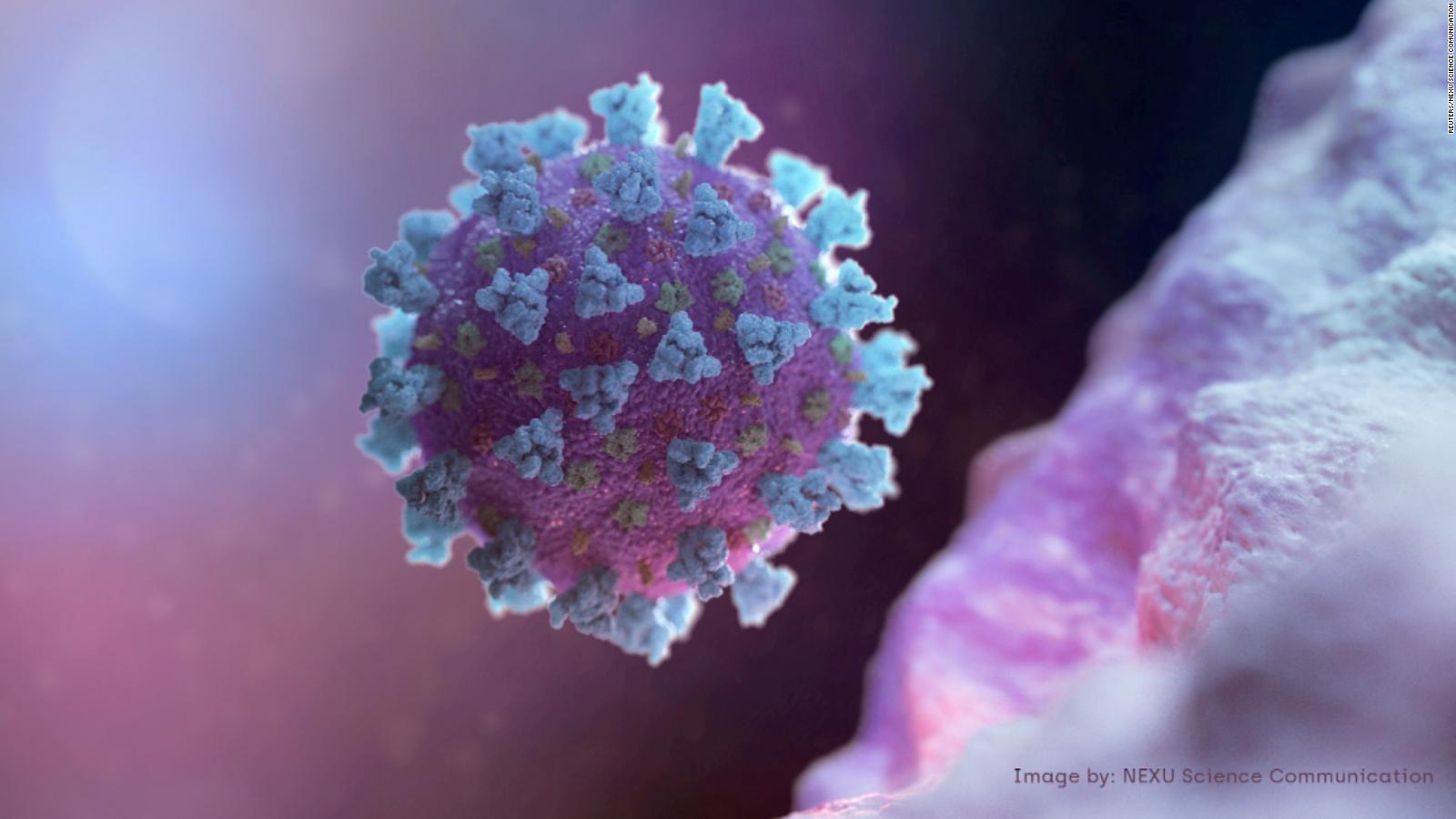 Ómicron, la nueva variante de coronavirus CNN Video