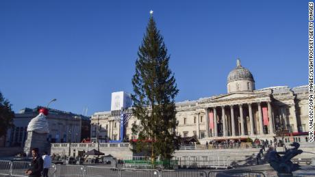 A Norwegian Christmas tree gifted to the city of London has been criticized for being substandard.