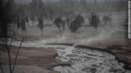 Volcanic ash blankets trees and the ground at Sumber Wuluh village in Lumajang on December 5.