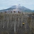 021 mount semeru