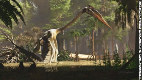 이것은 거대한 파충류 중 하나입니다.  이 예술가의 그림에는 익룡 케찰코아틀루스가 묘사되어 있습니다.