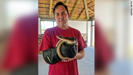 Snake catcher Gerrie Heyns rescued the animal from the family tree. 