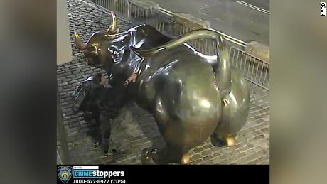پس از اینکه صلیب شکسته روی مجسمه گاو شارژ در نزدیکی وال استریت و در تالار شهر نیویورک با اسپری رنگ آمیزی شد، یک نفر دستگیر شد.