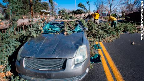 Members of a Colorado Springs utilities crew remove a fallen tree that crushed a car Wednesday.