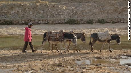 A man leads his donkeys through a parched field in Bala Murghab, Badghis province, Afghanistan, on October 15.