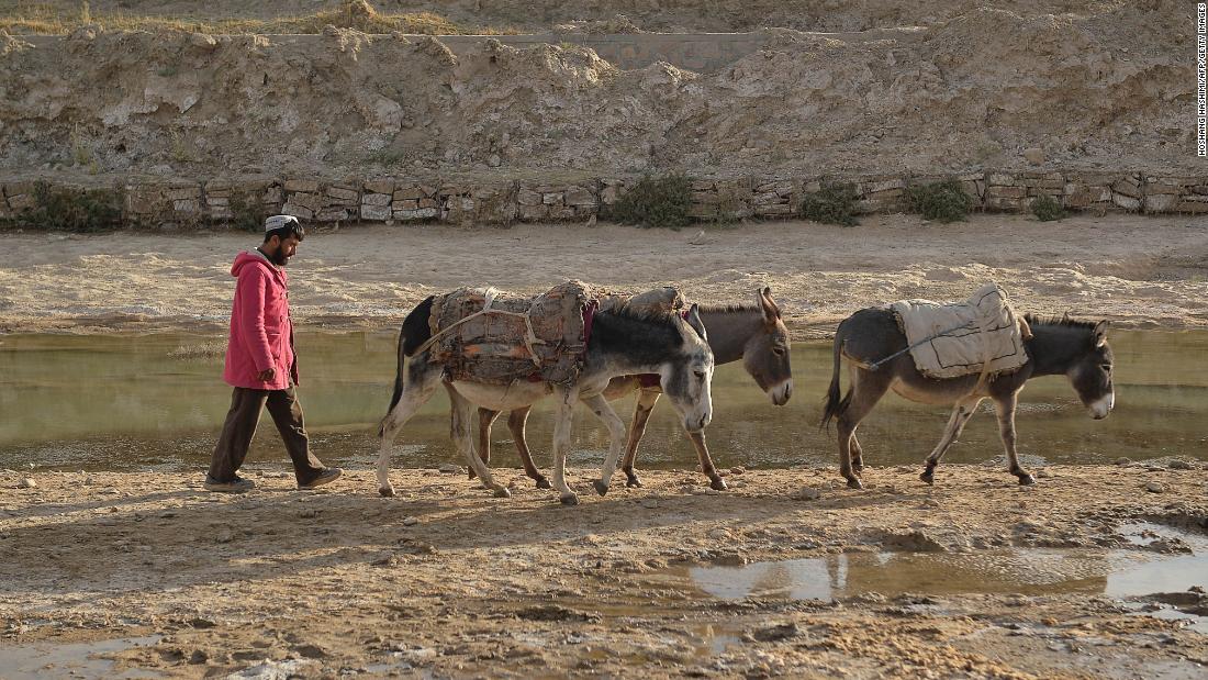 A man leads his donkeys through a parched field in Bala Murghab, Badghis province, Afghanistan, on October 15.