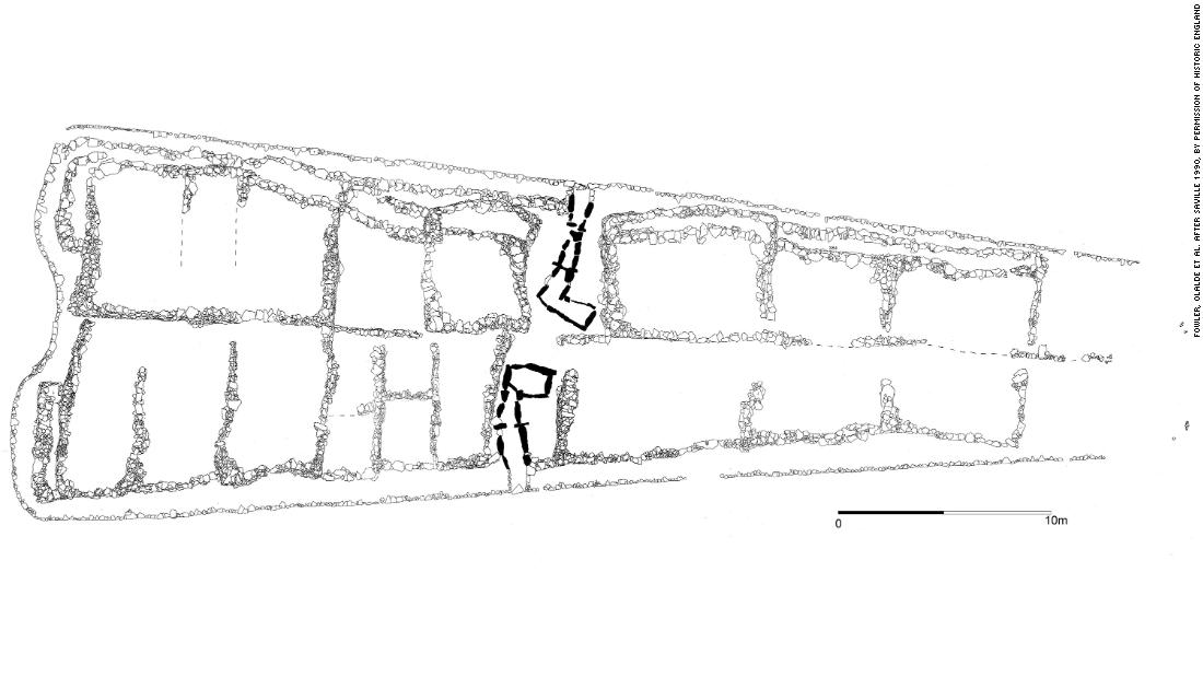 world-s-oldest-family-tree-uncovered-in-stone-age-tomb-cnn