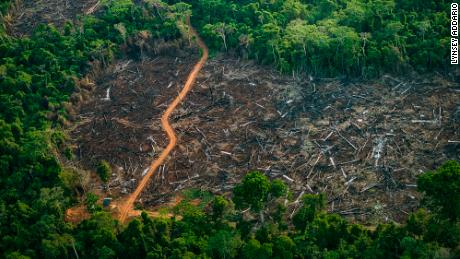 Illegal logging as seen from above in Kaiapó Indigenous land on September 22.

