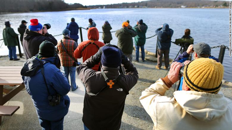 Birdwatchers and photographers try to catch a view of the Steller&#39;s sea eagle Tuesday in Dighton Rock State Park.
