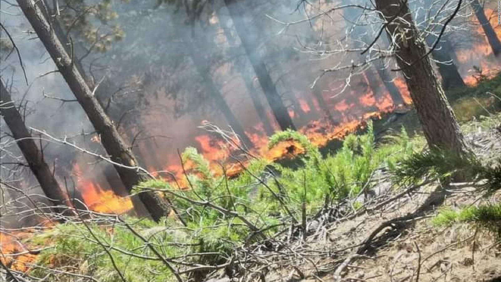 Impresionantes incendios forestales en la Patagonia argentina CNN Video