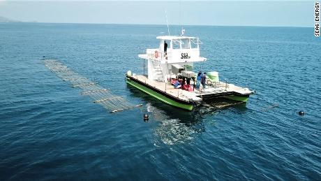 An Indian startup could revolutionize ocean farming with its 