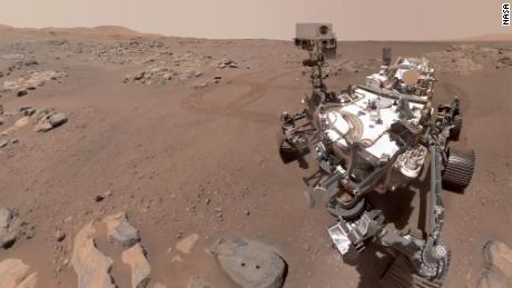 Настойчивость может производить на Марсе столько кислорода, сколько маленькое дерево