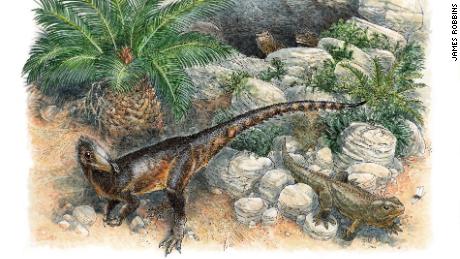 This illustration shows Pendraig milnerae, the earliest carnivorous dinosaur from the UK. 