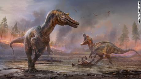 Two new species of spinosaurid dinosaurs were discovered from fossils found on the Isle of Wight: one named &quot;hell heron&quot; and the other the &quot;riverbank hunter.&quot;