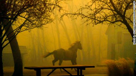 На 30 декември 2021 г. в Супериор, Колорадо, кон минава през Гросо Парк, докато димът се издига от близкия огън. 