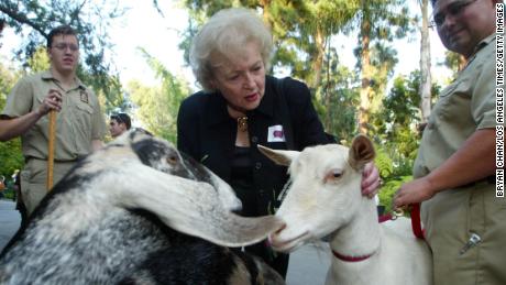 Betty White loved animals and advocated for them.