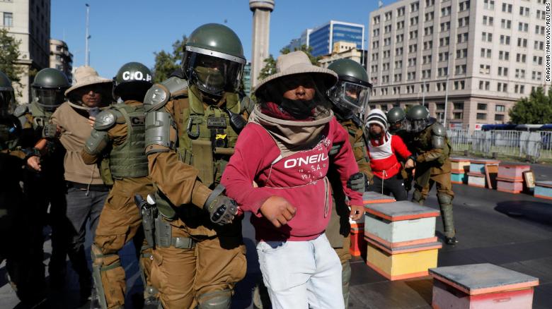 10,000 bees join protest in Chile, 7 police officers stung