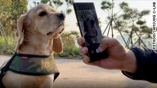 Petnow is an AI-driven smartphone application that identifies dogs with the unique patterns on their noses.