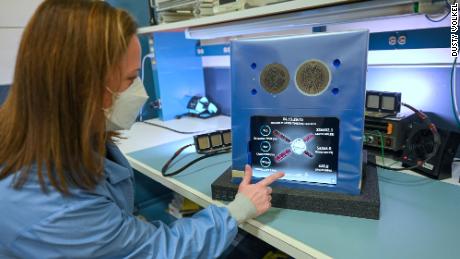 La primera misión lunar de la NASA en Artemisa tendrá un astronauta virtual: Amazon'  Alexa