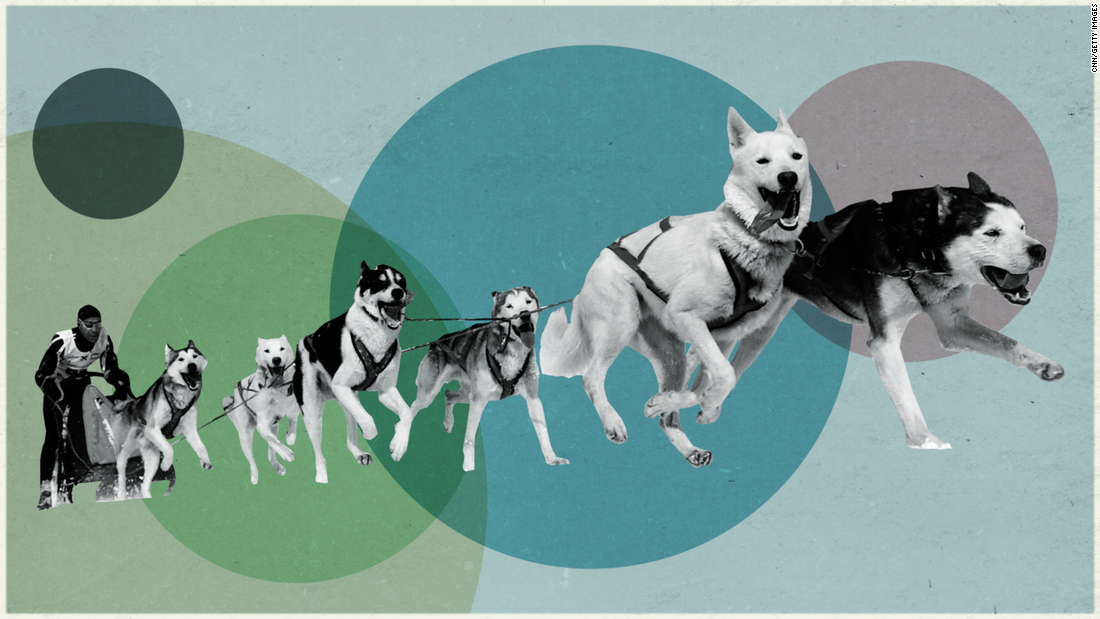 Lost Sports of the Winter Olympics: The fast and furry world of sled dog racing