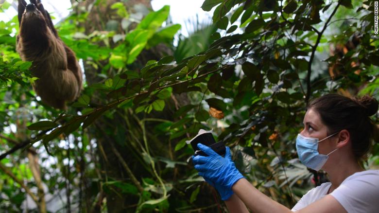 Kristine Bohmann, an associate professor at the University of Copenhagen, collects air samples.