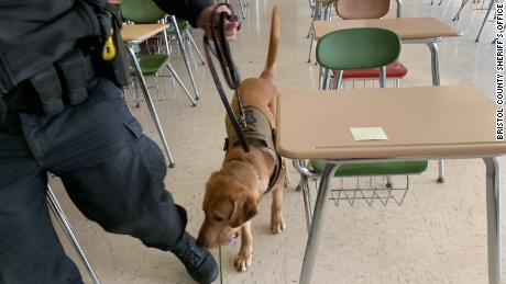Covid detection dogs are being utilized in Massachusetts schools.