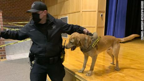 Escuelas de Massachusetts usan perros para detectar el Covid-19