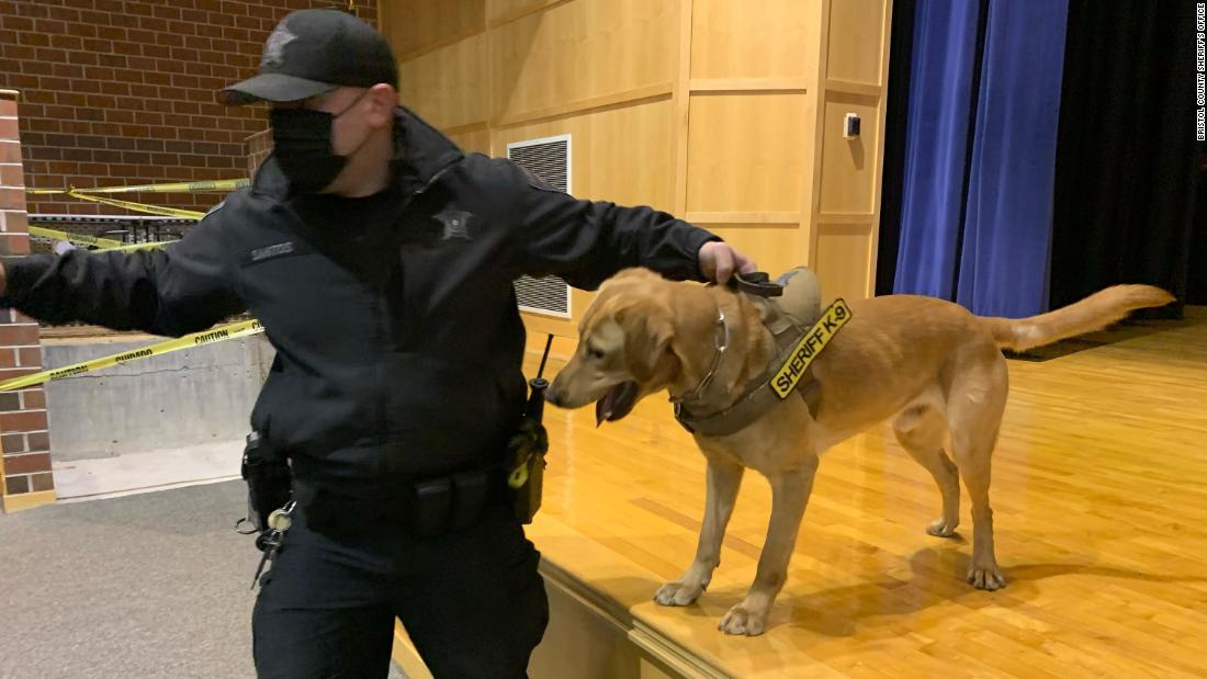 Schools bring in dogs to fight Covid-19