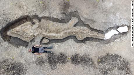 Giant 180 million-year-old &#39;sea dragon&#39; fossil found in UK reservoir 