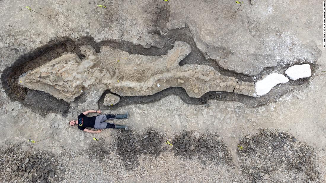 Giant 180 million-year-old ‘sea dragon’ fossil found in UK reservoir – CNN
