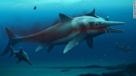 An artistic reconstruction of what the ichthyosaur may have looked like