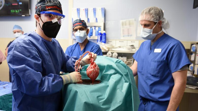 Hear from doctors who transplanted a genetically modified pig heart to a man